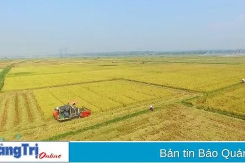 Những gam màu sáng trong bức tranh kinh tế - xã hội huyện Hải Lăng