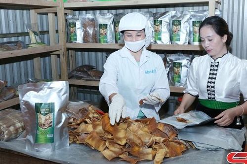 Hợp tác xã do phụ nữ làm chủ