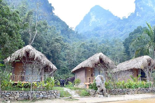 Nà Tông chuyển mình
