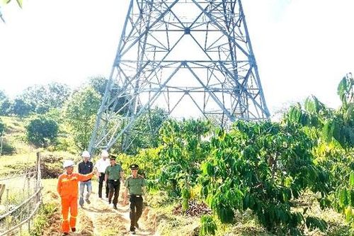 Truyền tải điện Đắk Nông: Quyết tâm vận hành an toàn, ổn định dịp Xuân Ất Tỵ