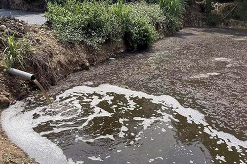 Căn cứ nhóm dự án để xác định thủ tục môi trường