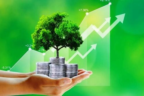 Chuyển đổi kinh tế xanh tại Việt Nam năm 2024 và xu hướng năm 2025