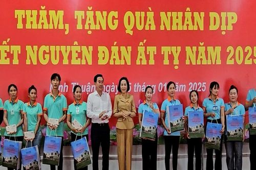 Phó Chủ tịch Quốc hội Nguyễn Thị Thanh thăm, tặng quà Tết Mẹ Việt Nam Anh hùng và công nhân tại Ninh Thuận