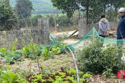 Hai người bị điện giật khi dựng cây nêu đón Tết