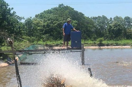 Hướng phát triển bền vững của nuôi trồng thủy sản Hà Nội