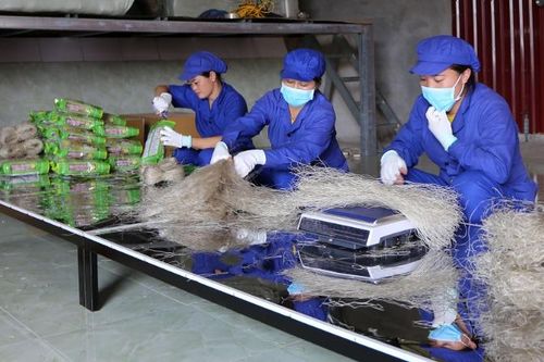 Nhộn nhịp sản xuất ở làng miến Côn Minh