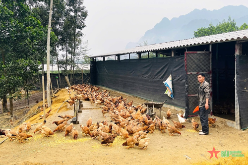 Hà Giang: Sẵn sàng cung ứng thực phẩm phục vụ thị trường Tết