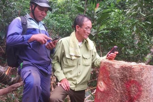 Phá rừng để thực hiện dự án thủy điện, nhiều tổ chức, cá nhân bị xử lý