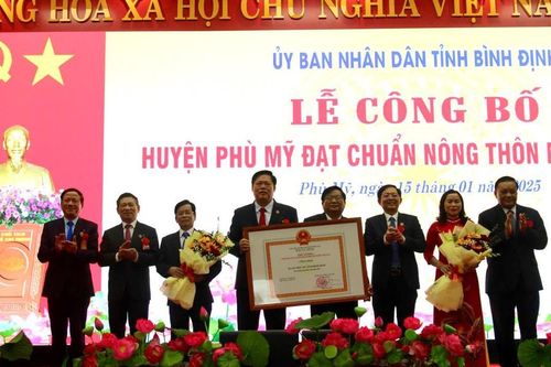 Công bố huyện Phù Mỹ đạt chuẩn nông thôn mới năm 2023