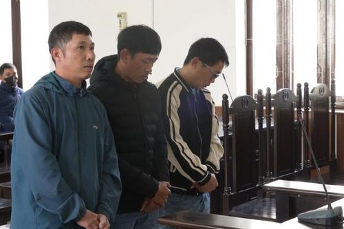 Nhóm 'con bạc' hầu tòa