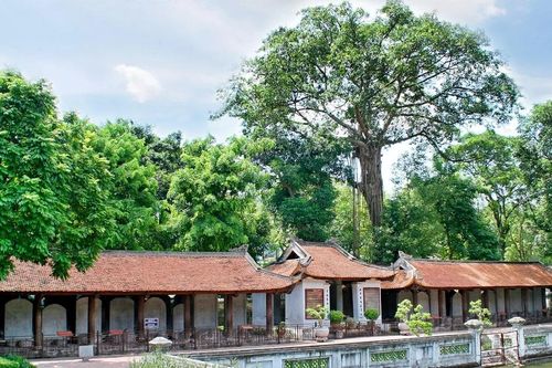 Đến Văn Miếu Quốc Tử Giám nghe 'bia đá kể chuyện'