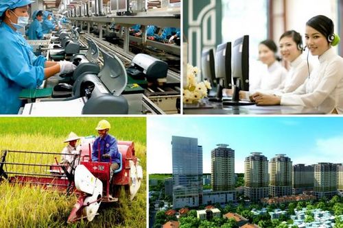 Việt Nam phấn đấu lọt nhóm 50 nước đứng đầu về phát triển bền vững của Liên hợp quốc