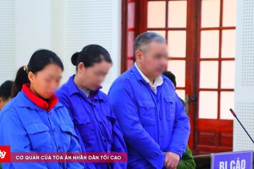 Ngụy trang hồng phiến trong gói thuốc nam rồi gửi xe khách