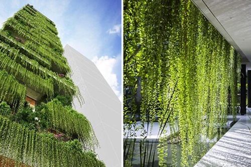 Xây nhà hướng tây, không lo oi nóng nếu biết cách này