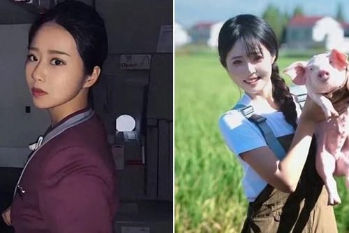 Tiếp viên hàng không xinh đẹp bỏ việc về quê nuôi lợn nhận cái kết bất ngờ