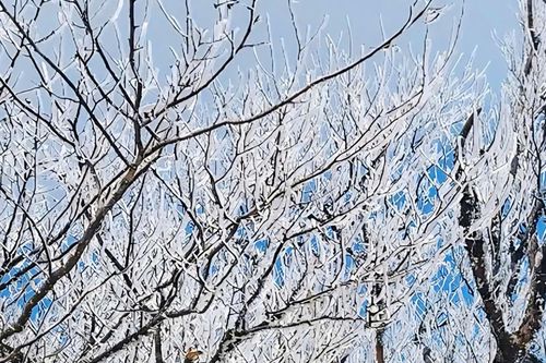 Diễn biến những hình thái thời tiết đáng lưu ý trên cả nước năm 2025