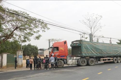 Tạm dừng hoạt động sản xuất của nhà máy tinh bột sắn gây ô nhiễm