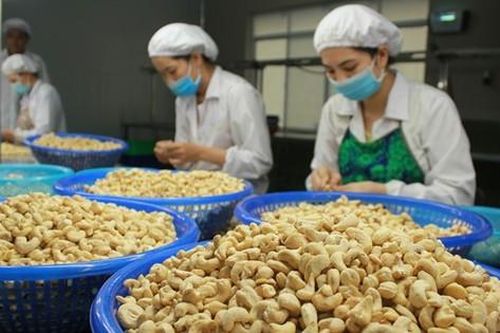 Kỷ lục loại hạt siêu dưỡng chất được Mỹ 'bạo chi' hơn 1,1 tỷ USD để nhập khẩu