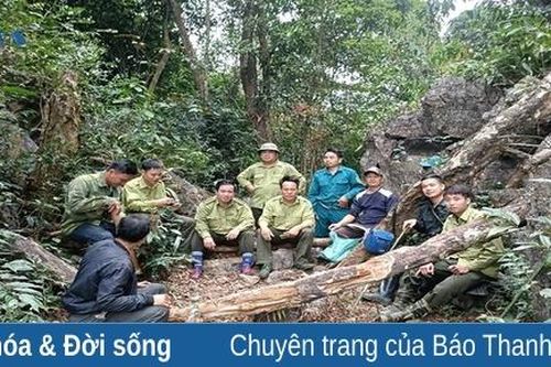 Tiếp sức cho người giữ rừng