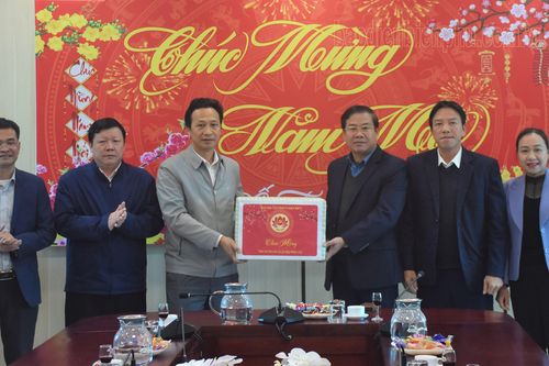 Đồng chí Lò Văn Mừng thăm, chúc Tết tại huyện Nậm Pồ