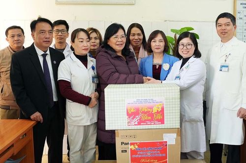 Phó Chủ tịch HĐND tỉnh Giàng Thị Hoa thăm, chúc tết cơ sở y tế