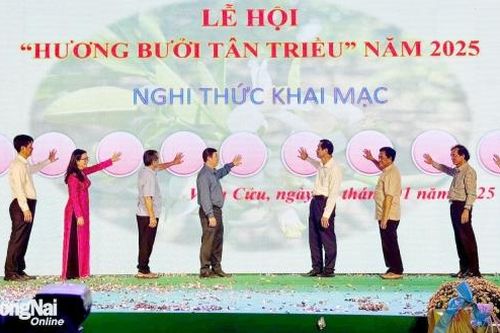Khai mạc Lễ hội Hương bưởi Tân Triều năm 2025