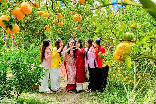 Khai thác lợi thế Đất Sen hồng phát triển du lịch nông nghiệp