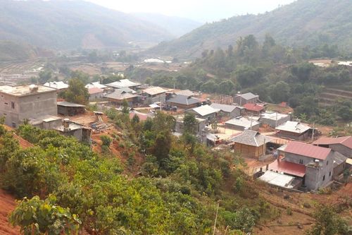 Xuân ấm trên bản vùng cao Hua Cuổi