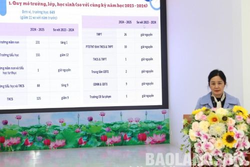 Sở Giáo dục và Đào tạo tổ chức hội nghị sơ kết học kỳ 1 năm học 2024-2025