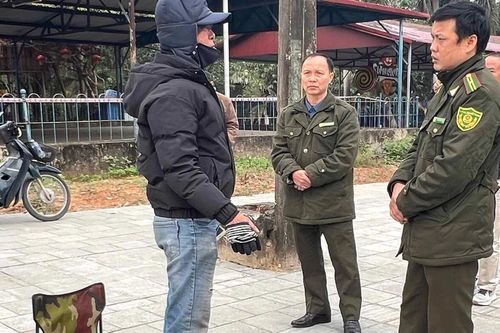 Cần ngăn chặn việc bán rùa răng trên địa bàn thành phố Lào Cai