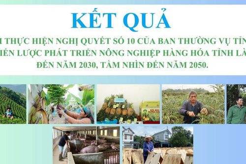 Kết quả nổi bật sau 3 năm triển khai Nghị quyết 10 của Ban Thường vụ Tỉnh ủy