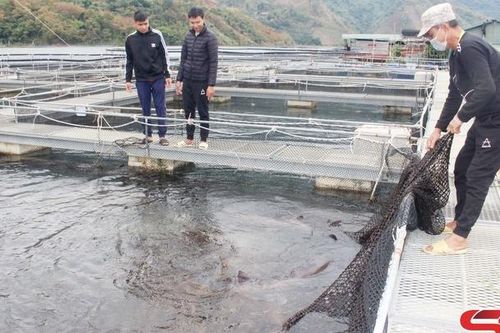 Nâng cao năng suất, chất lượng sản phẩm thủy sản