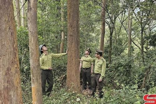 Bảo vệ rừng trong mùa hanh khô ở vùng cao