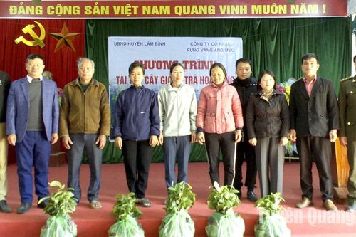 Trao tặng 5.000 cây trà hoa vàng cho người dân xã Bình An và thị trấn Lăng Can