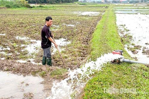 Trên 72% diện tích đất đã được đổ ải chuẩn bị gieo cấy vụ xuân