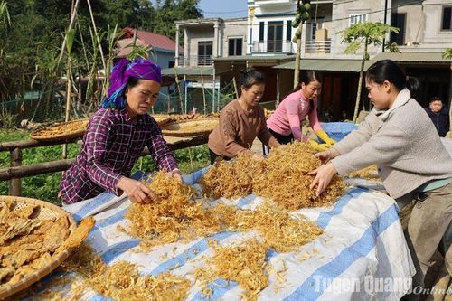 Mùa măng khô Thượng Giáp