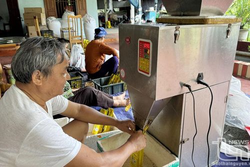 'Đại gia' chè xóm núi