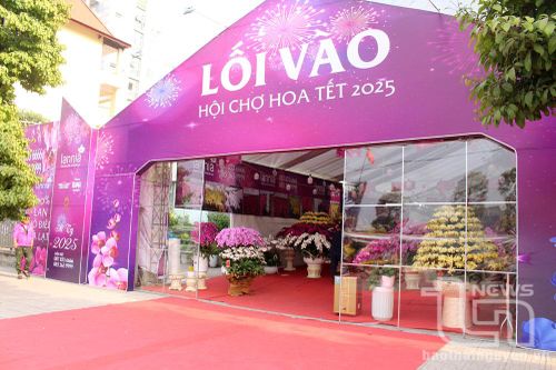TP. Thái Nguyên: Tổ chức 3 khu vực chợ hoa, chợ Tết