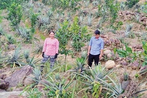 'Đòn bẩy' cho công tác giảm nghèo
