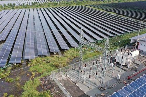 CIF phát hành trái phiếu đầu tiên hỗ trợ chuyển đổi năng lượng sạch