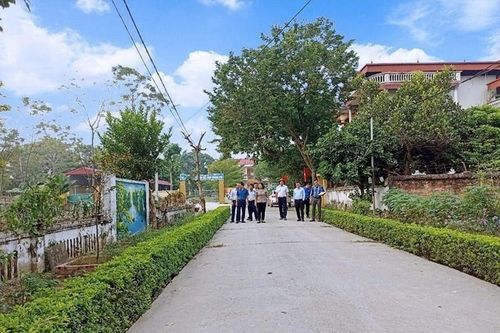 Tam Dương (Vĩnh Phúc): Chú trọng hoàn thiện hạ tầng giao thông trong xây dựng nông thôn mới