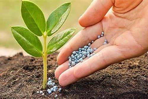 Việt Nam xuất khẩu phân bón hơn 700 triệu USD