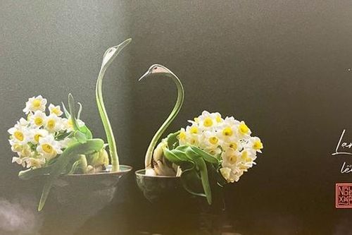 Thú chơi tỉa củ thủy tiên hút giới trẻ Hà Thành
