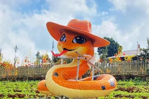 Linh vật rắn Tết Ất Tỵ trên phố