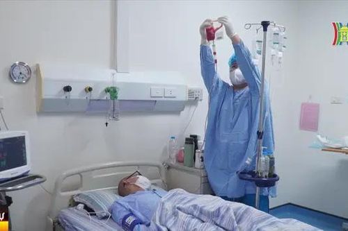 Những cuộc đời được hồi sinh nhờ ghép tế bào gốc