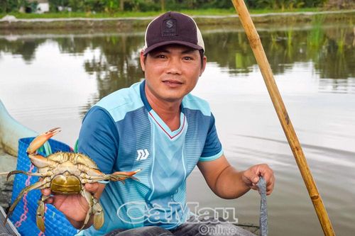 Dưỡng cua bán Tết