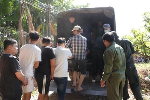 Triệt xóa trường gà trong vườn nhãn, bắt 43 đối tượng, thu lượng lớn tang vật