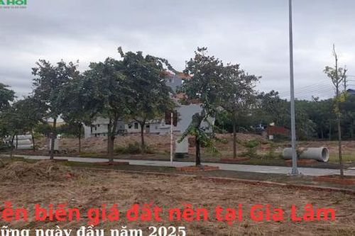 Diễn biến giá đất nền tại Gia Lâm, Hà Nội những ngày đầu năm 2025
