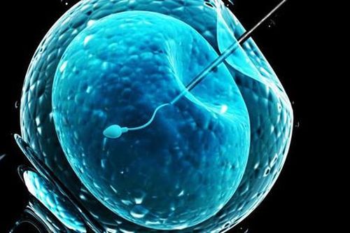 Sử dụng AI có thể giúp tăng tỷ lệ thành công của IVF