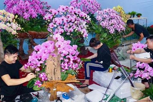 Công việc thời vụ nào tuyển nhiều nhất dịp Tết Nguyên đán 2025, mức lương ra sao?